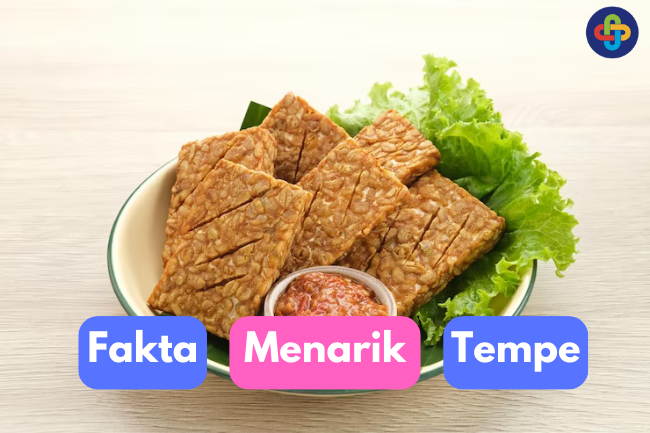 Mengenal Fakta Menarik Tempe: Makanan Khas Indonesia Penuh Manfaat