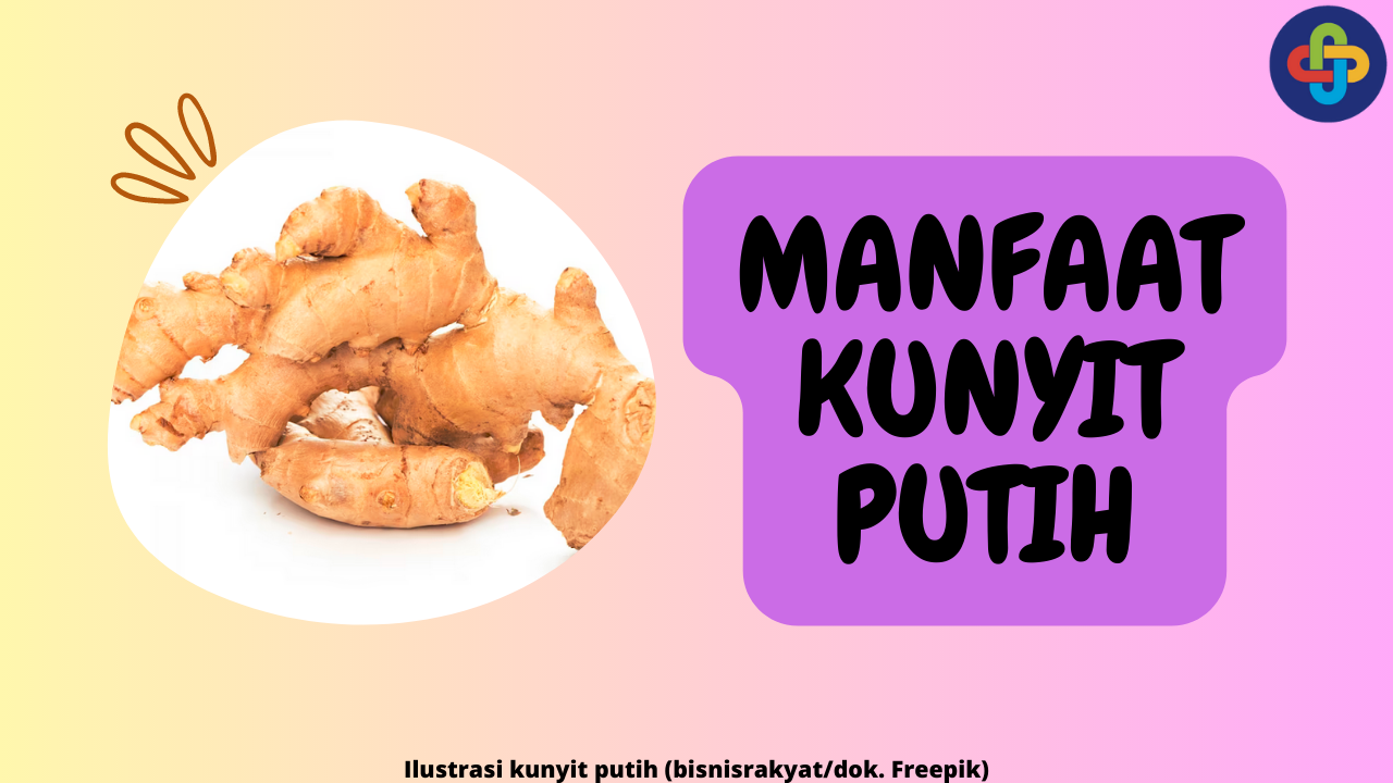 7 Manfaat Luar Biasa Kunyit Putih: Bisa untuk Pengobatan Kanker