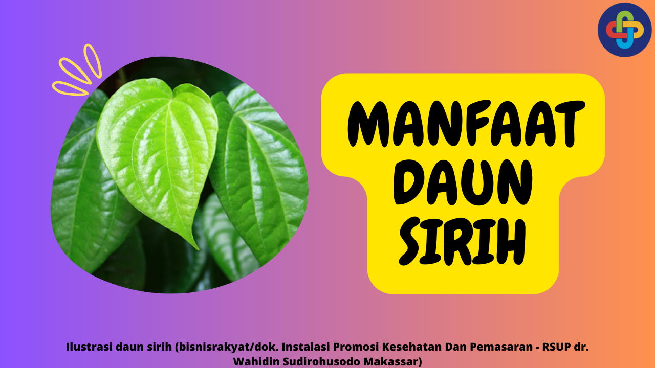 6 Manfaat Daun Sirih untuk Kesehatan dan Kecantikan