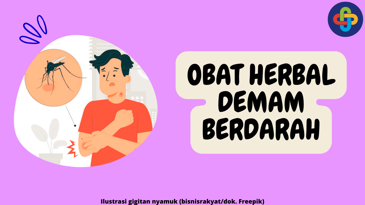 8 Obat Herbal Demam Berdarah yang Ampuh untuk Meredakan Gejala