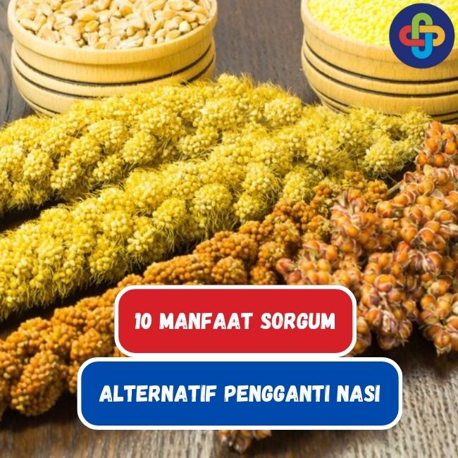 Tingkatkan Pemasaran Makanan Khas Daerah Dengan 8 Strategi Ini