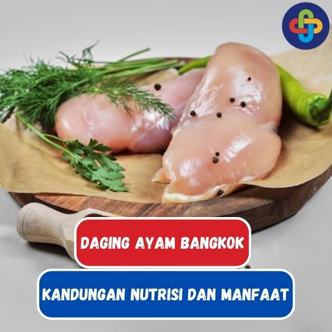 Kandungan Nutrisi dan Manfaat Kesehatan Ayam Bangkok