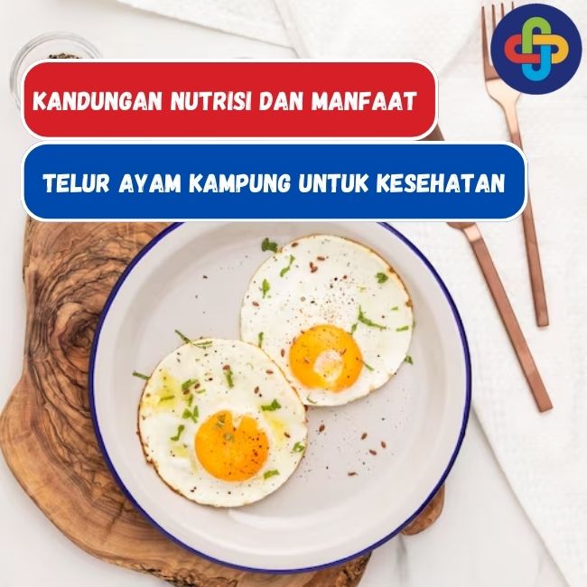 Kandungan Nutrisi Dan Manfaat Kesehatan Dari Telur Ayam Kampung